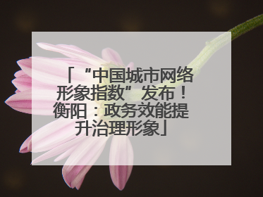 “中国城市网络形象指数”发布！衡阳：政务效能提升治理形象